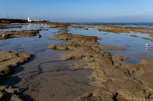 Cadiz